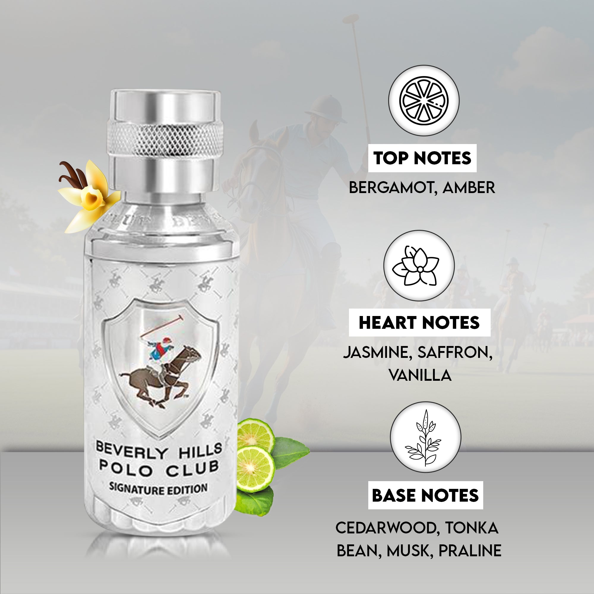 Silver - Signature Edition | Eau de Parfum - 100 ml, EDP for Men