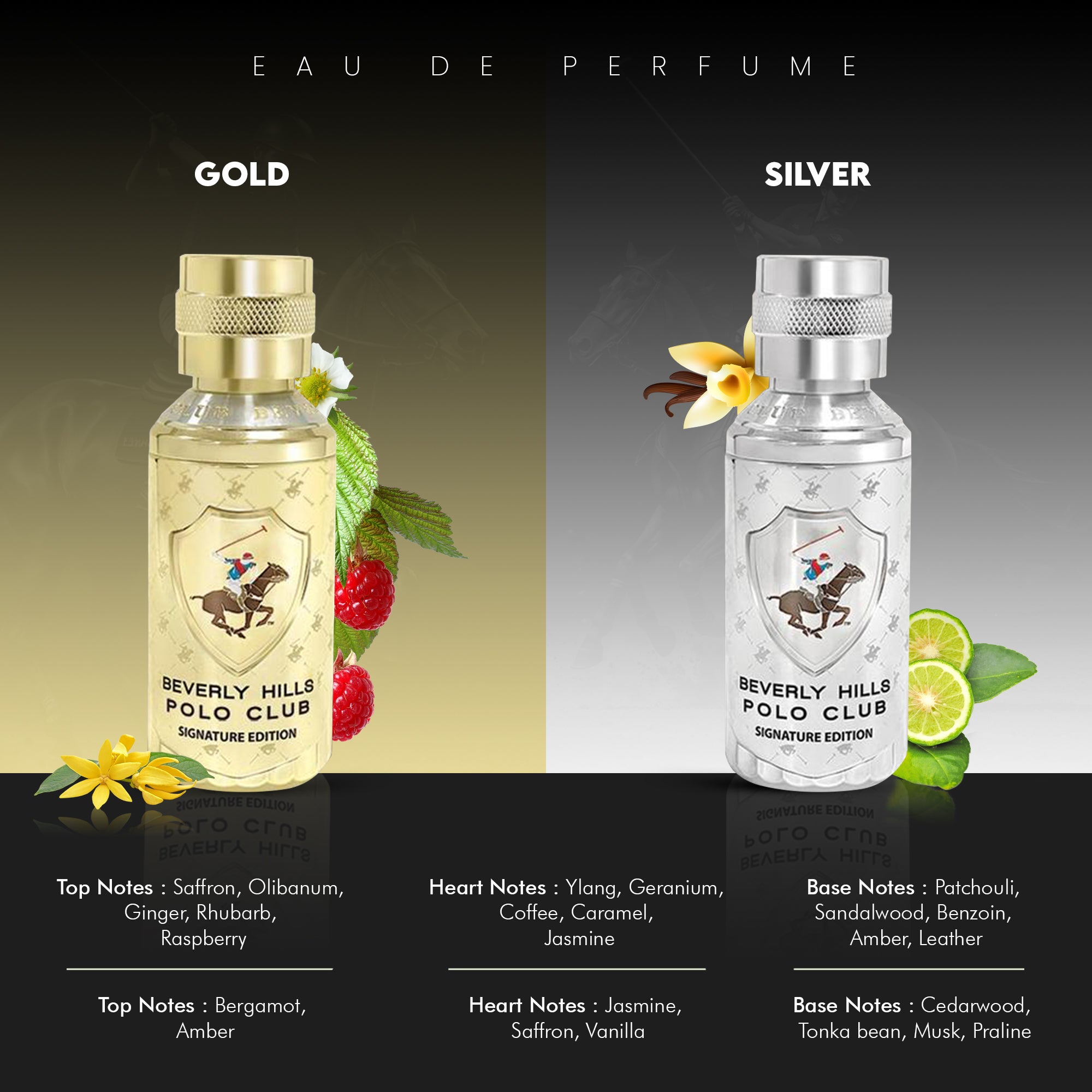 Gold - Signature Edition | Eau de Parfum - 100 ml, EDP for Men