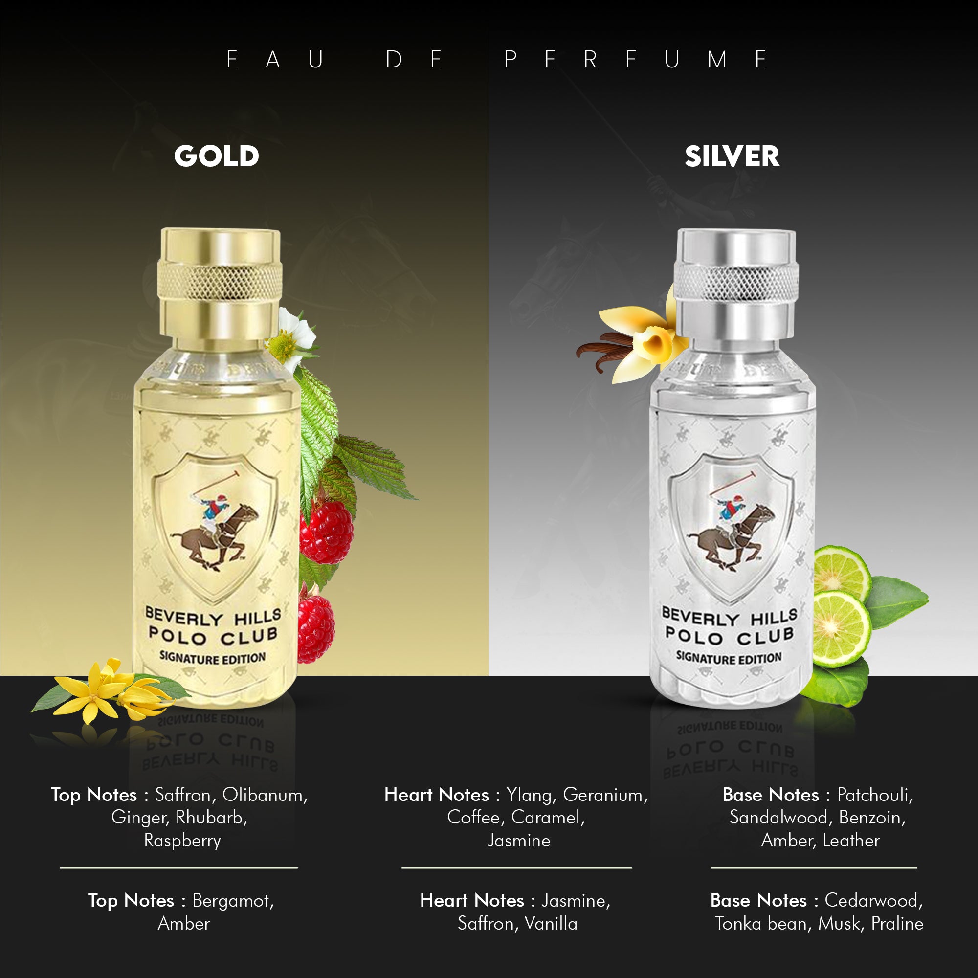 Silver - Signature Edition | Eau de Parfum - 100 ml, EDP for Men